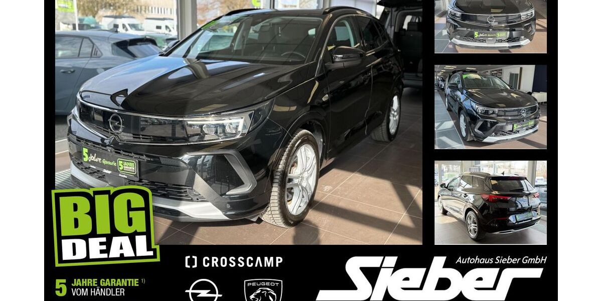 Opel Grandland (X) 72.067 km 20.490 &euro; Landshut 84034