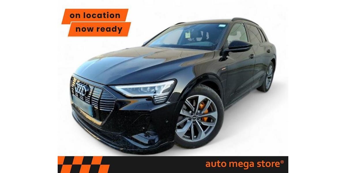 Audi e-tron 101.698 km 32.585 &euro; Ergolding 84030