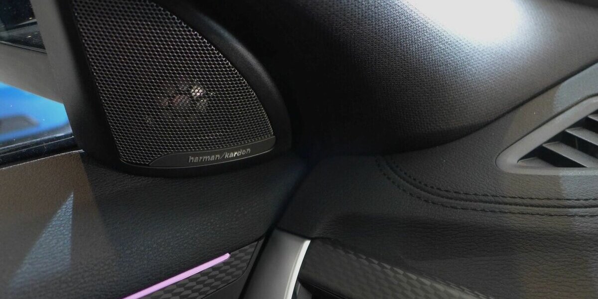 BMW X2 20d xDr MSport AHK,HUD,Kamera,H&K NP:67.690 43.998 km 32.590 &euro; Landshut 84030