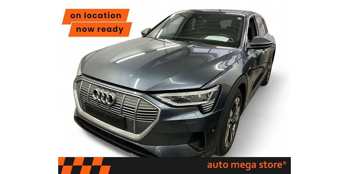 Audi e-tron 127.080 km 22.794 &euro; Ergolding 84030