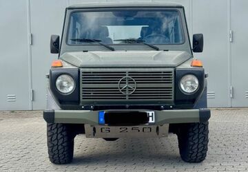 Mercedes-Benz G 250 65.044 km 45.000 &euro; Landshut 84036