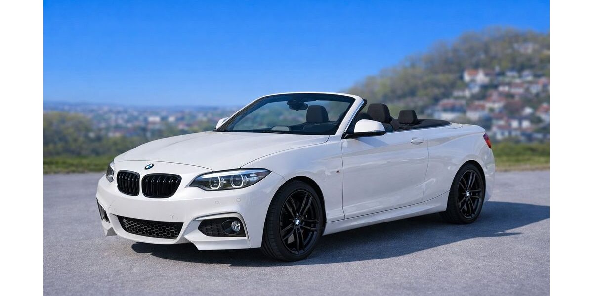 BMW 220 75.900 km 27.990 &euro; Landshut 84034