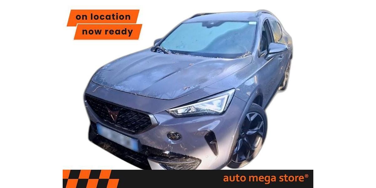 Cupra Formentor 103.082 km 22.044 &euro; Ergolding 84030