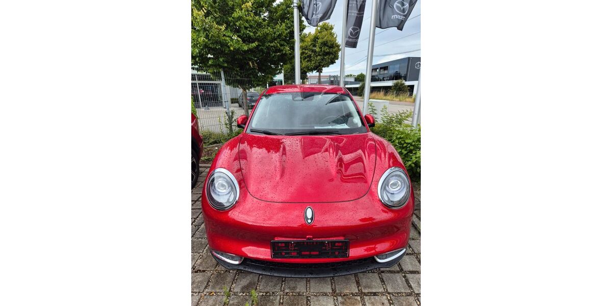 ORA Funky Cat 9.000 km 24.990 &euro; Landshut 84030