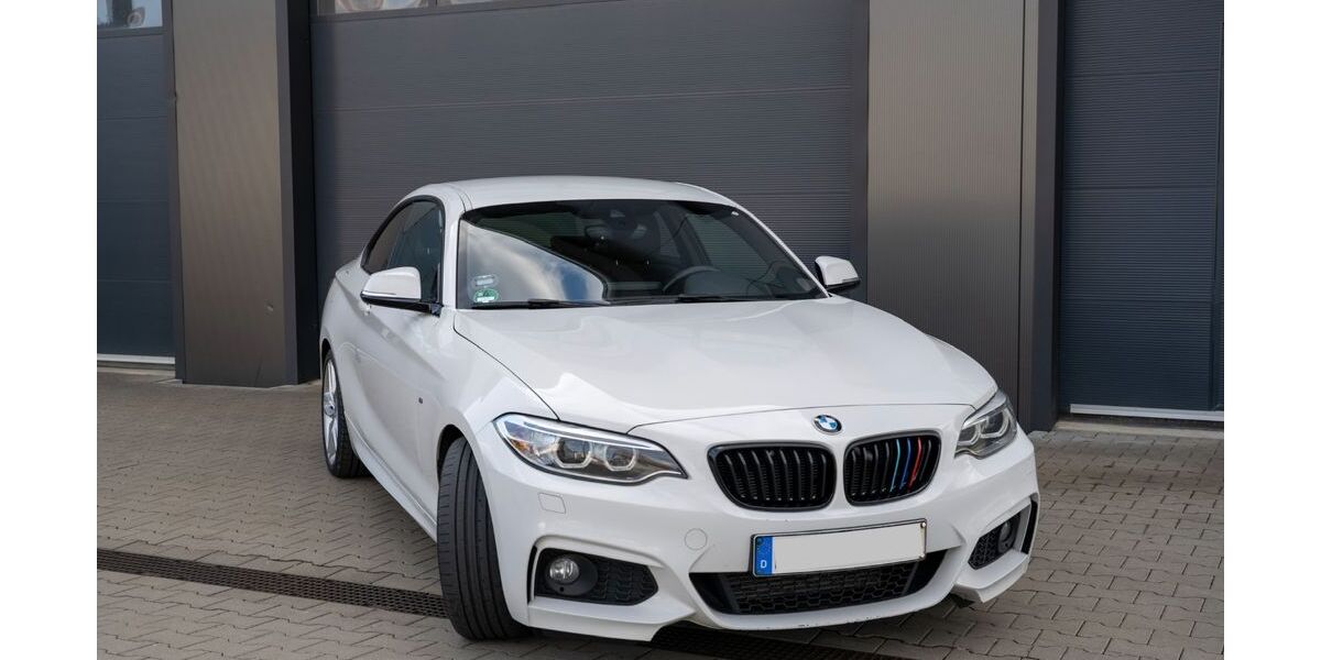 BMW 225 221.500 km 13.900 &euro; Adlkofen 84166